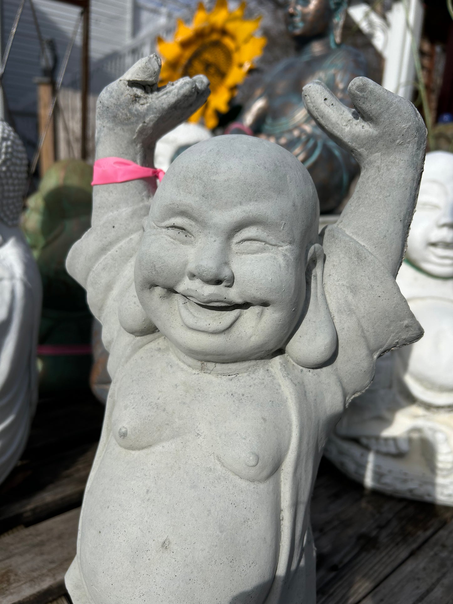 Hands Up Buddah