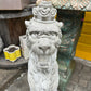 Lion with Crown