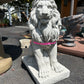Sitting 22” Tall Lions (Left/Right) Pair