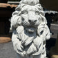 Sitting 22” Tall Lions (Left/Right) Pair