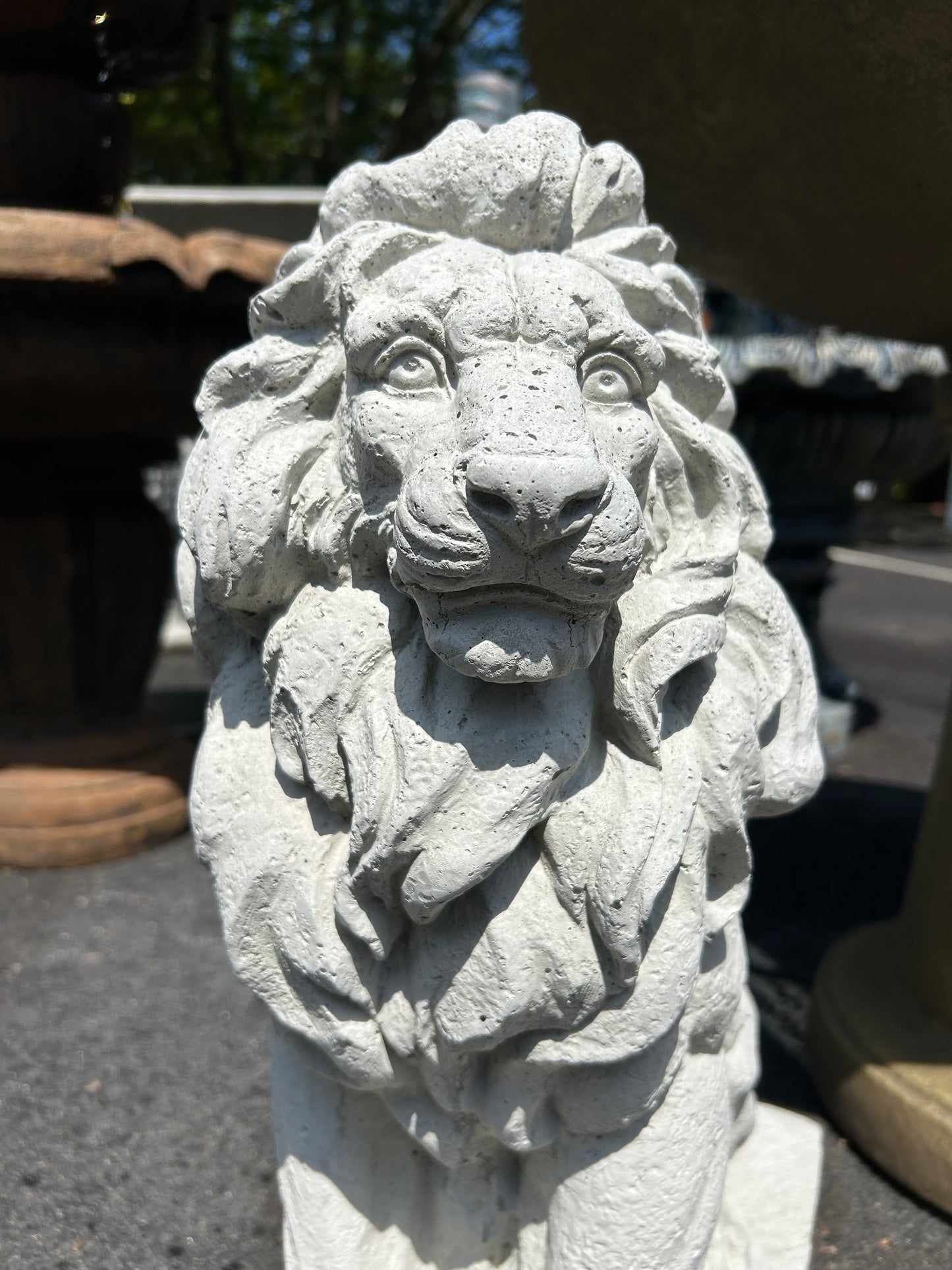 Sitting 22” Tall Lions (Left/Right) Pair