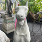 Doberman Concrete Dog Statue