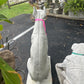 Doberman Concrete Dog Statue