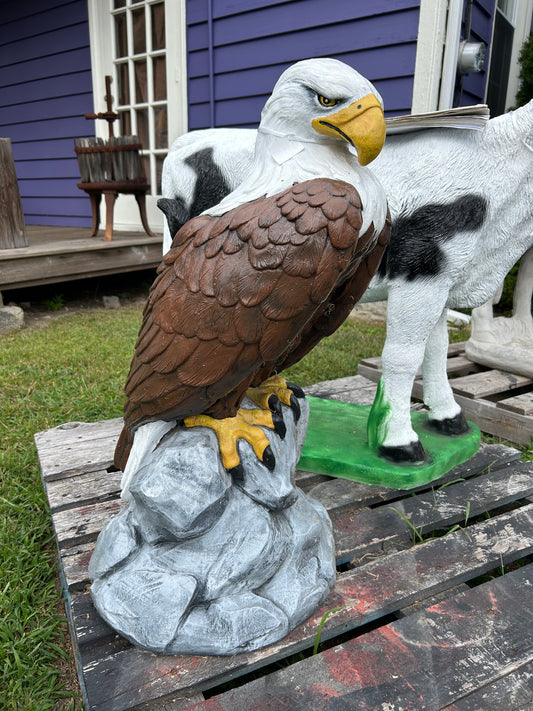 Large Eagle Wings Down on Rock