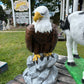 Large Eagle Wings Down on Rock