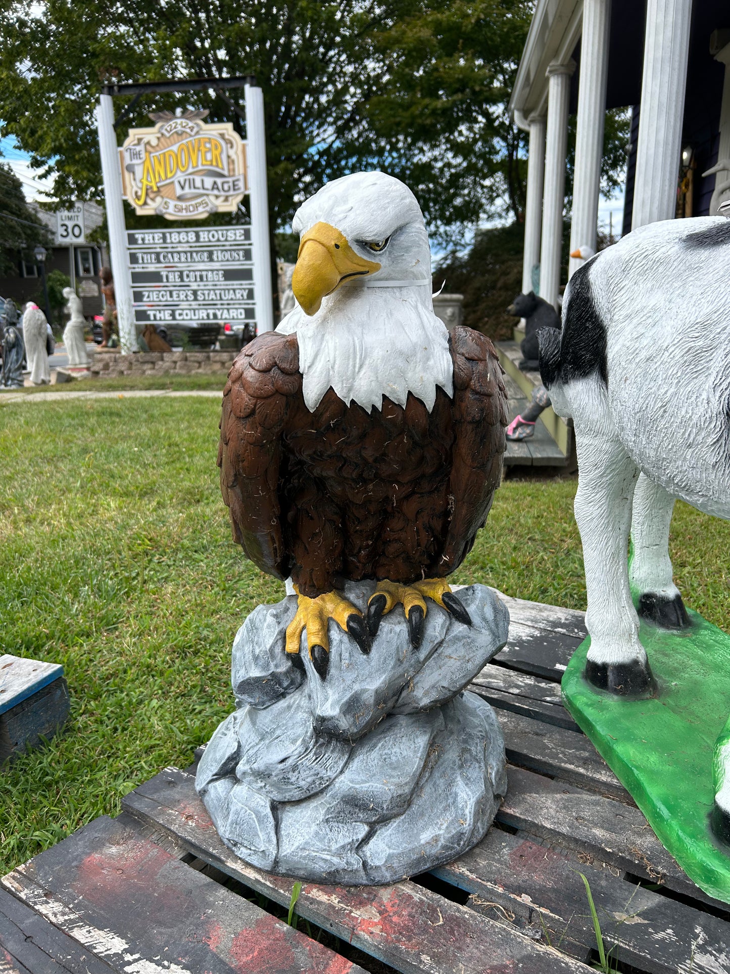 Large Eagle Wings Down on Rock