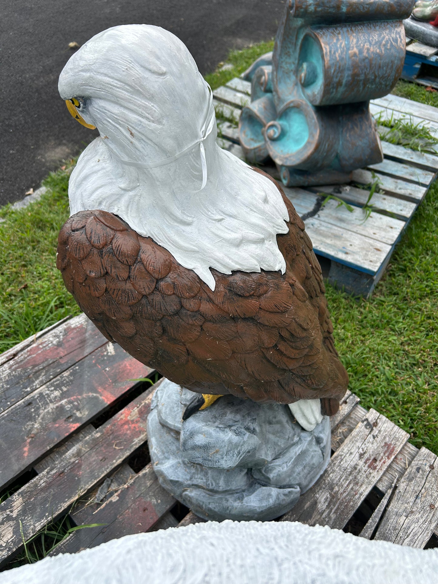 Large Eagle Wings Down on Rock