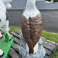 Large Eagle Wings Down on Rock