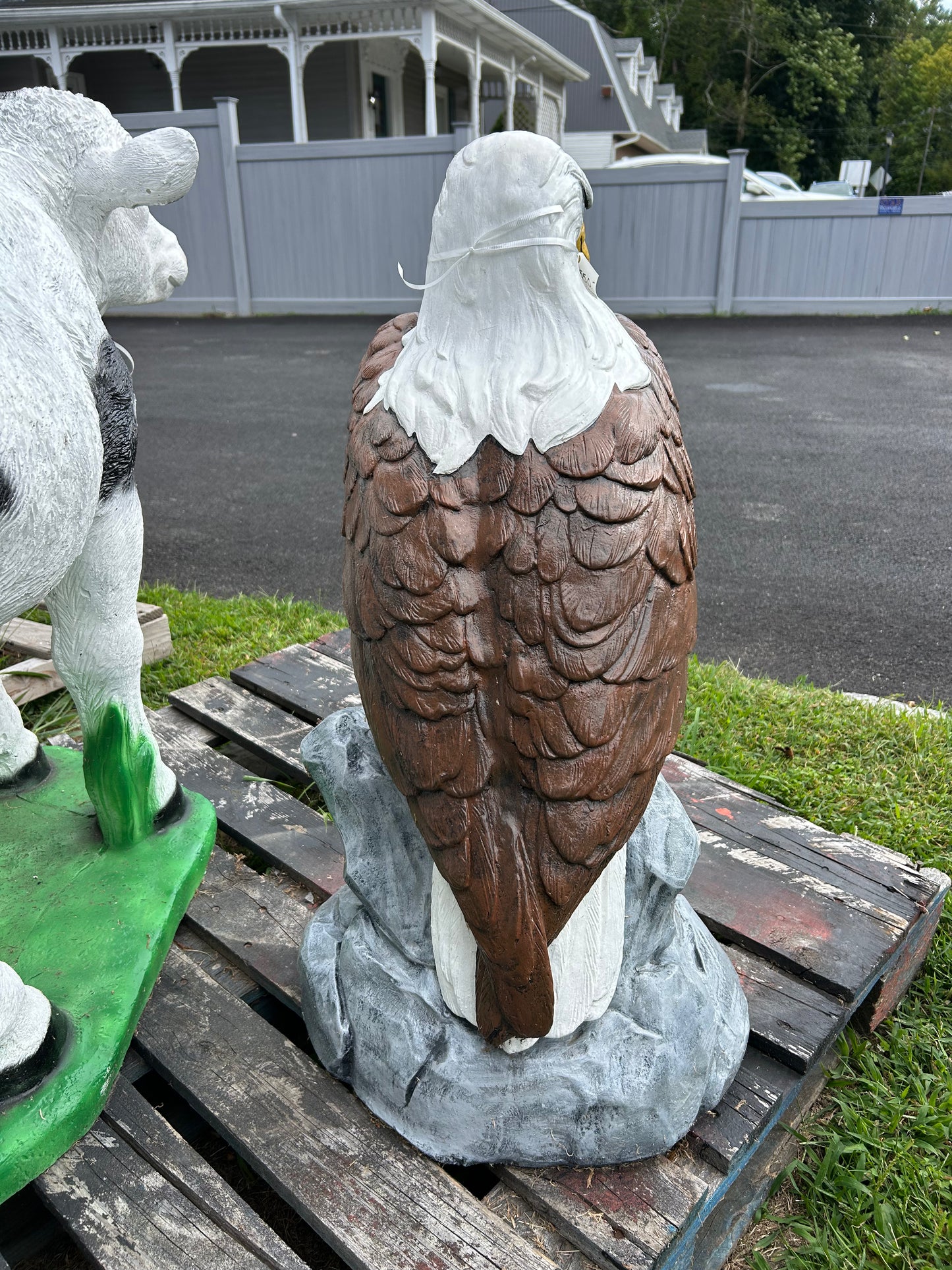 Large Eagle Wings Down on Rock