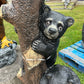 Playful Climbing Bears