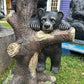 Playful Climbing Bears