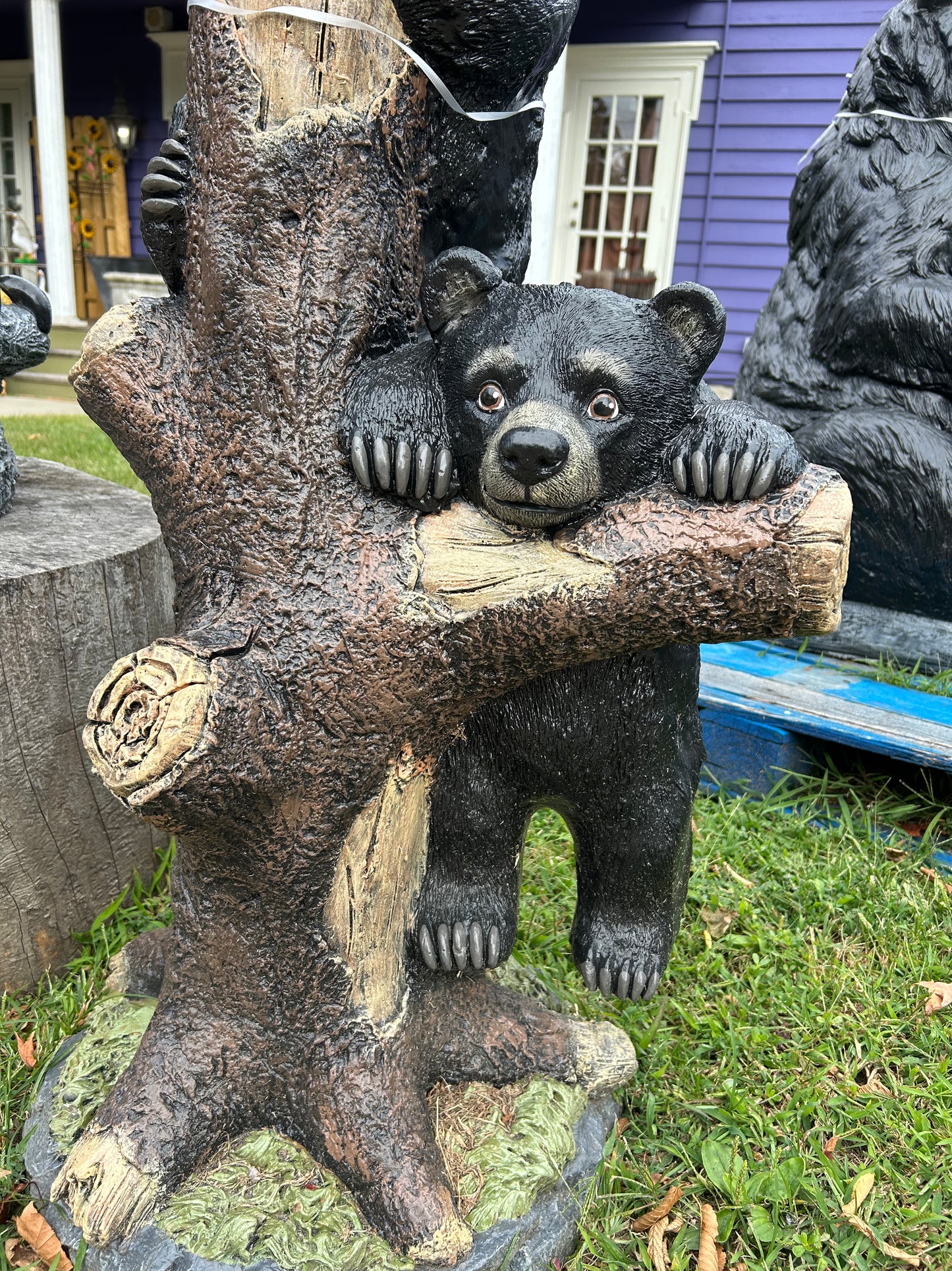 Playful Climbing Bears