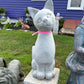 Sitting Pretty Cat