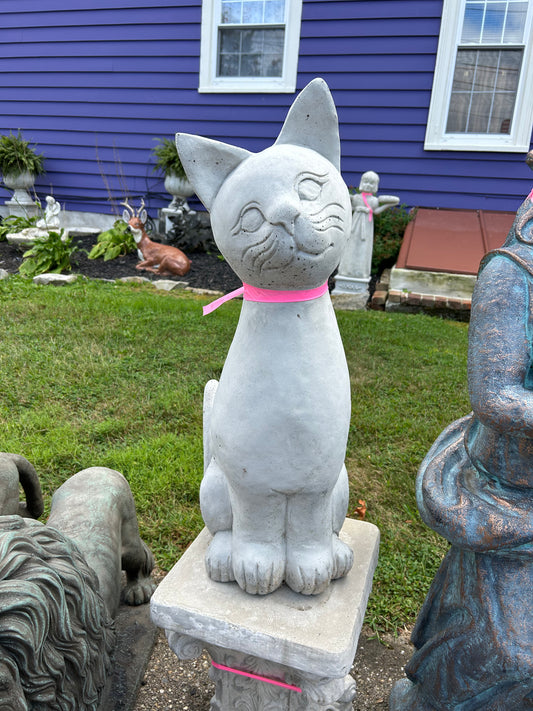 Sitting Pretty Cat
