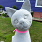 Sitting Pretty Cat