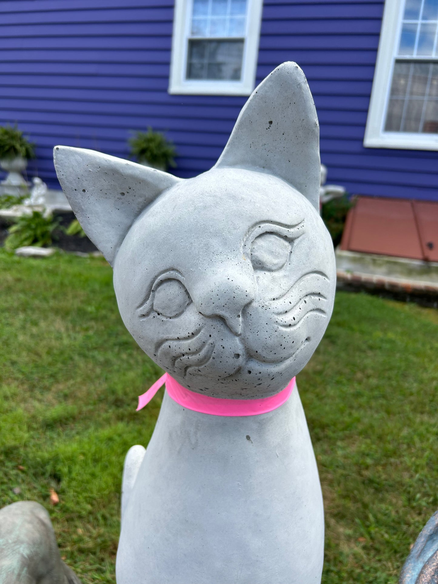 Sitting Pretty Cat