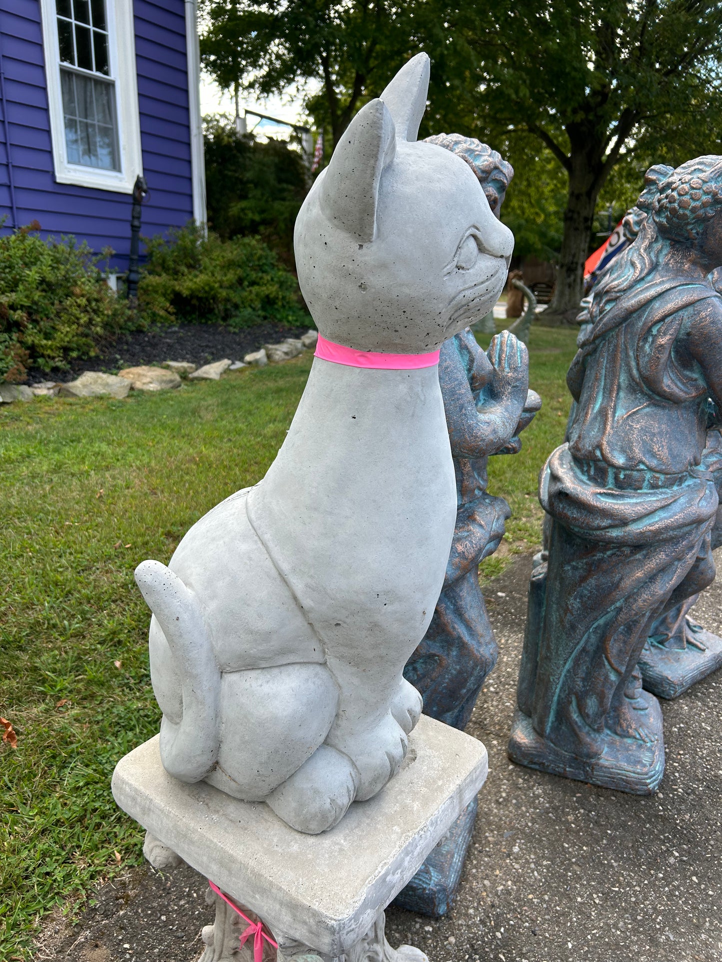 Sitting Pretty Cat