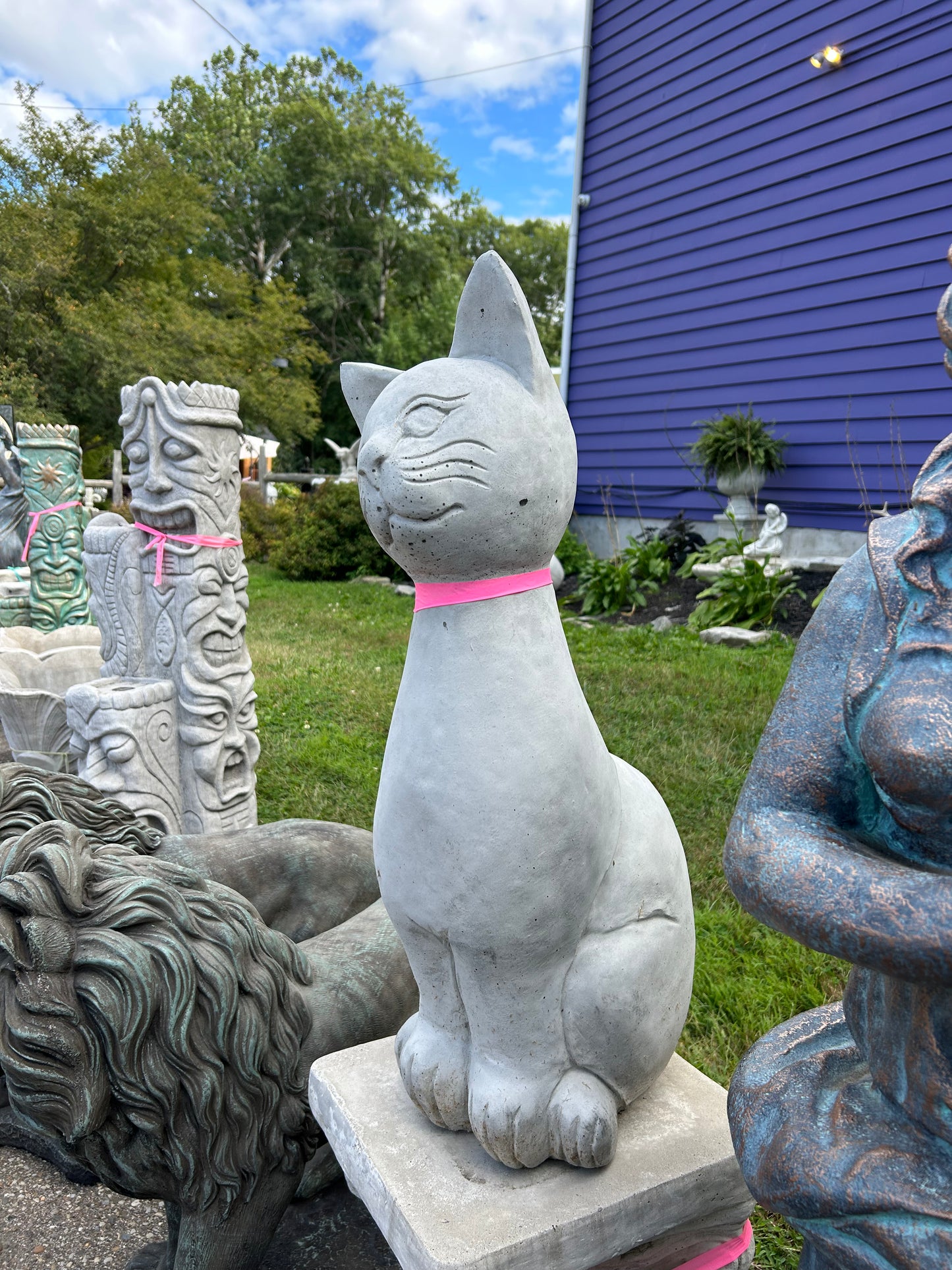 Sitting Pretty Cat