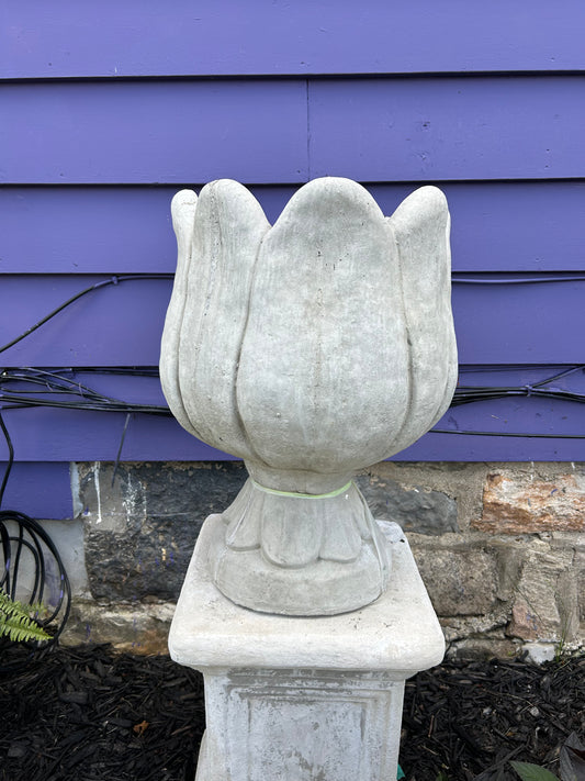 Large Tulip Planter