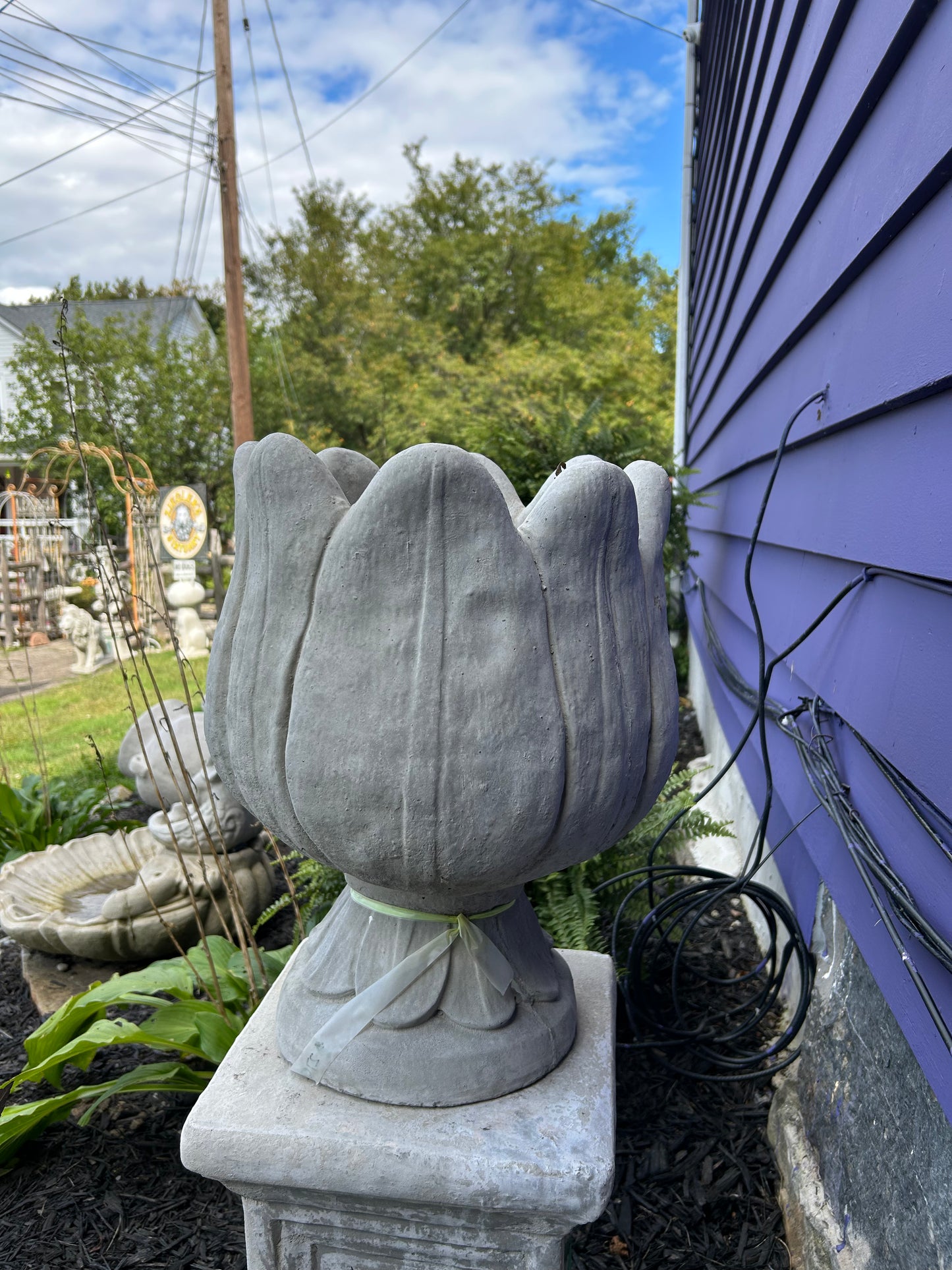Large Tulip Planter