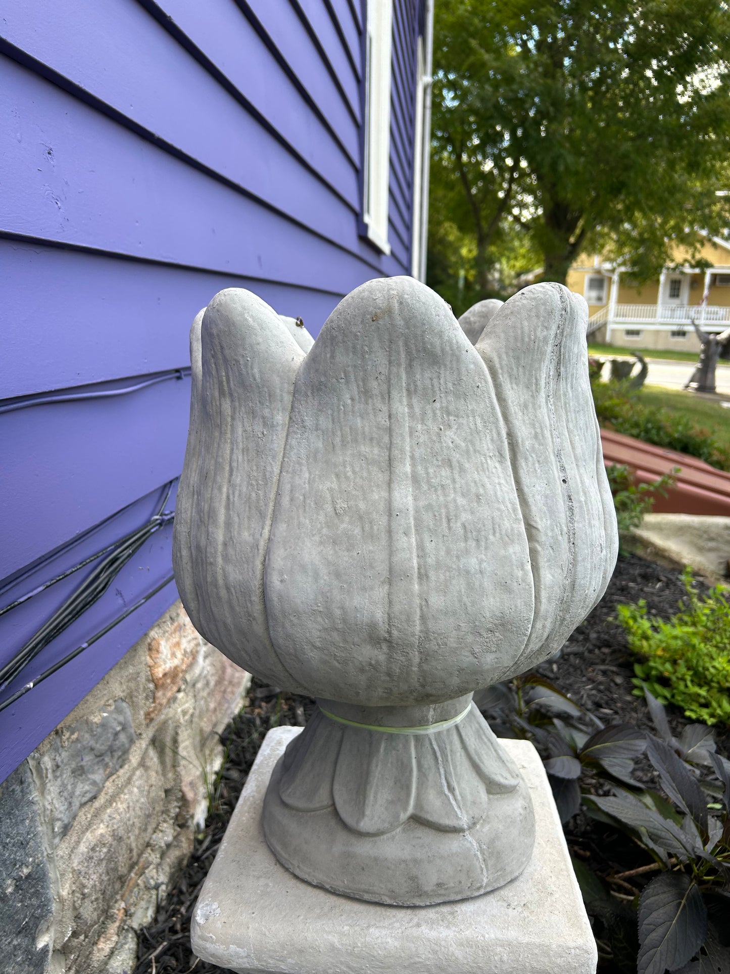 Large Tulip Planter