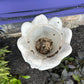 Large Tulip Planter