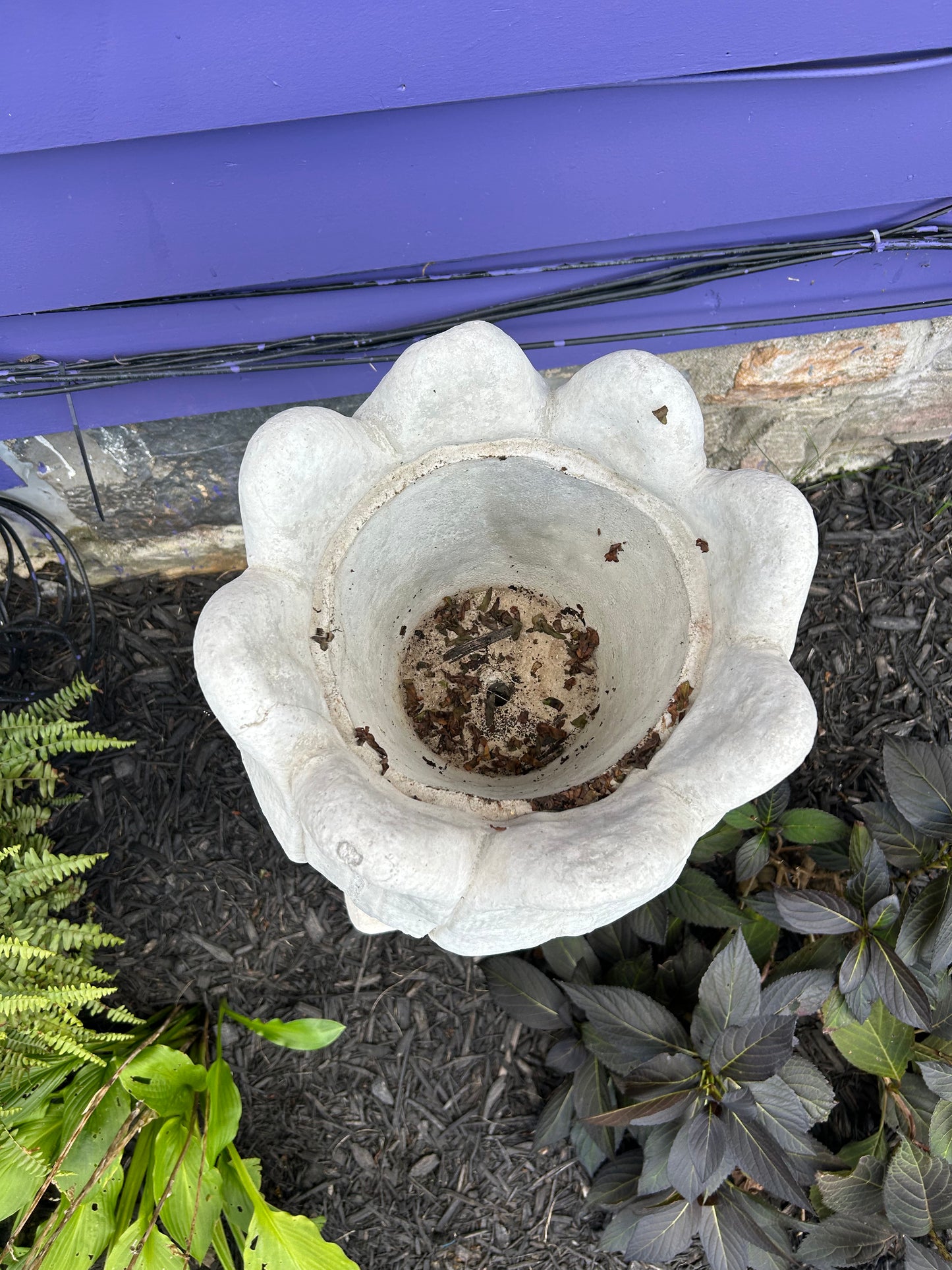 Large Tulip Planter