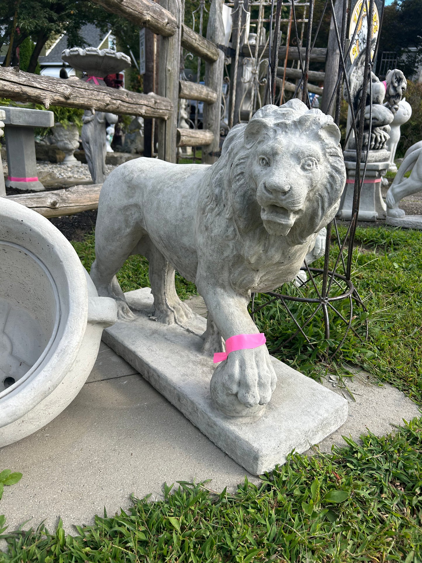 Walking Lions with Ball (Left/Right)