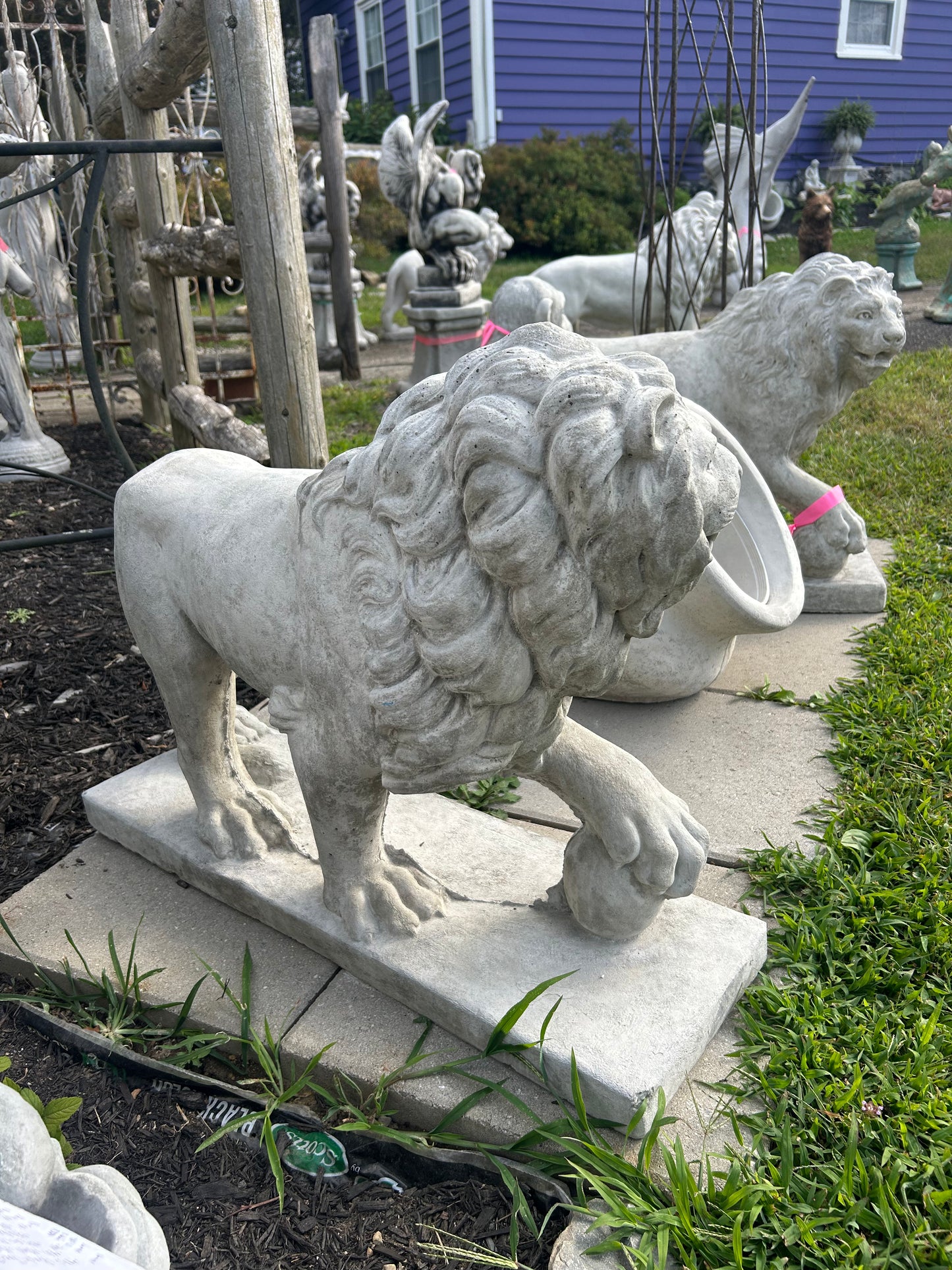 Walking Lions with Ball (Left/Right)
