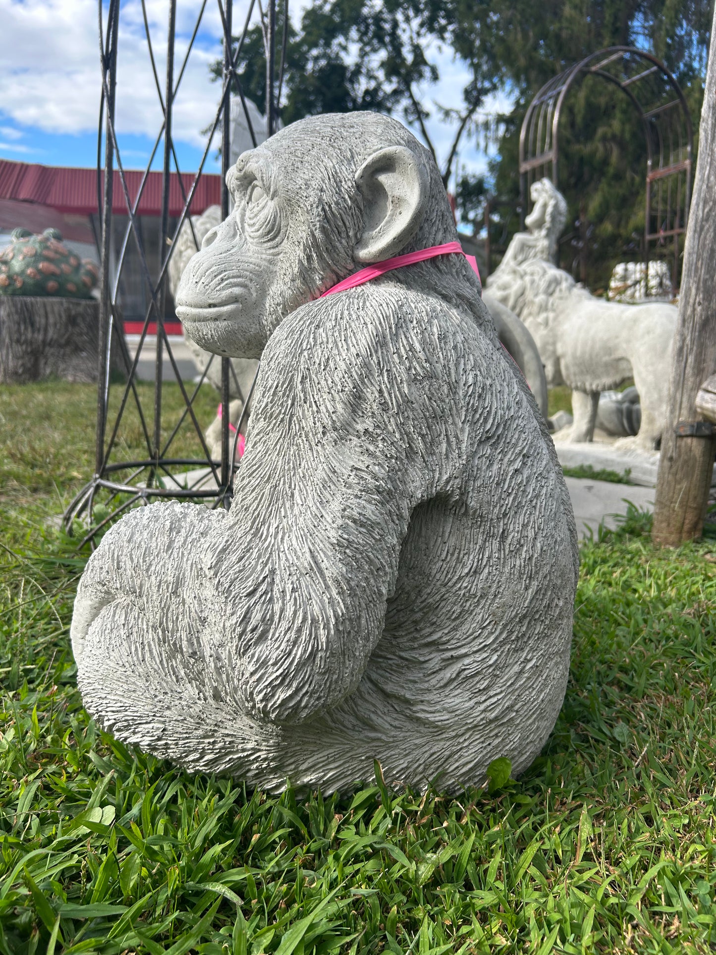 Lucho- the Sitting Chimpanzee