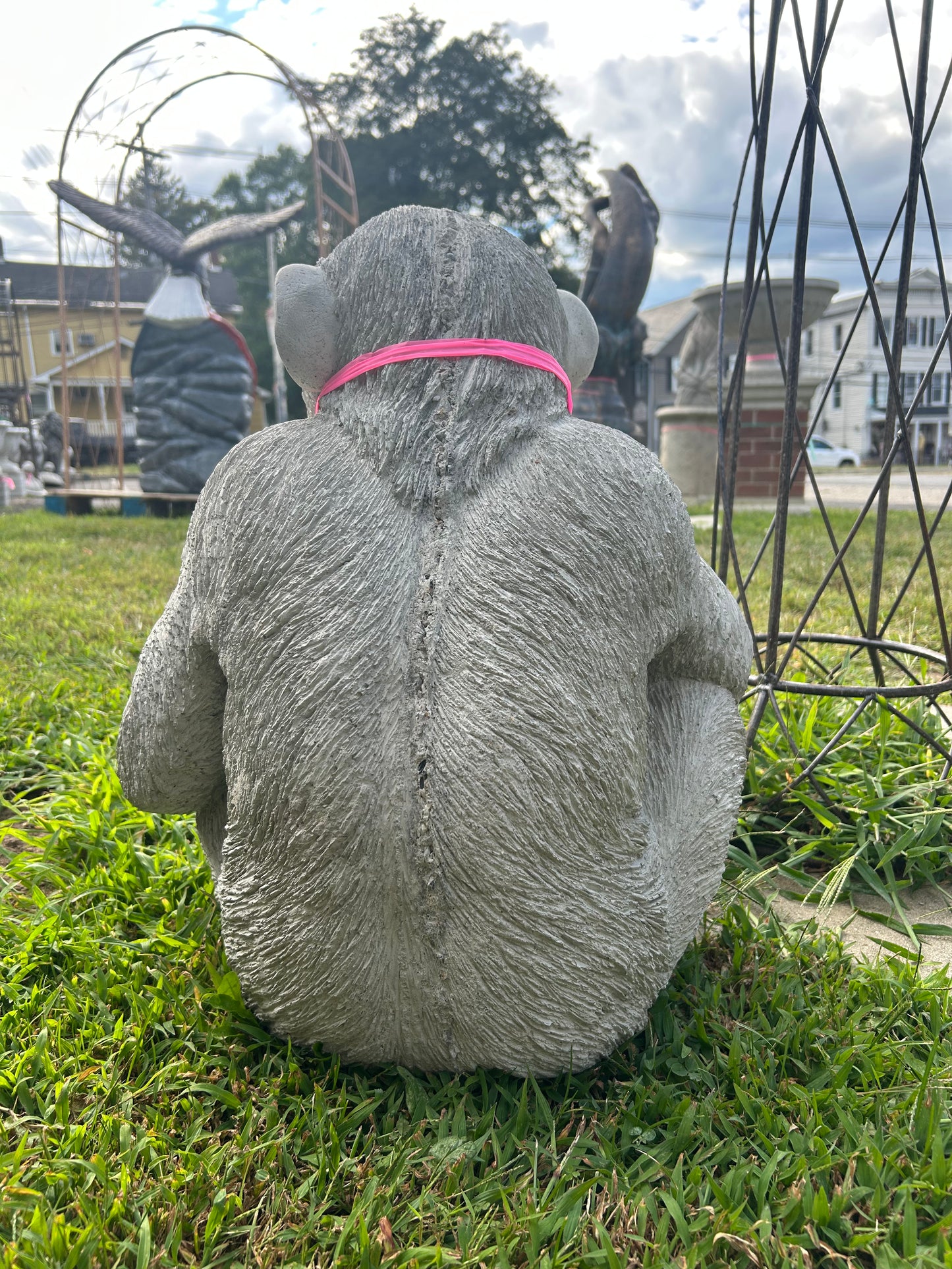 Lucho- the Sitting Chimpanzee