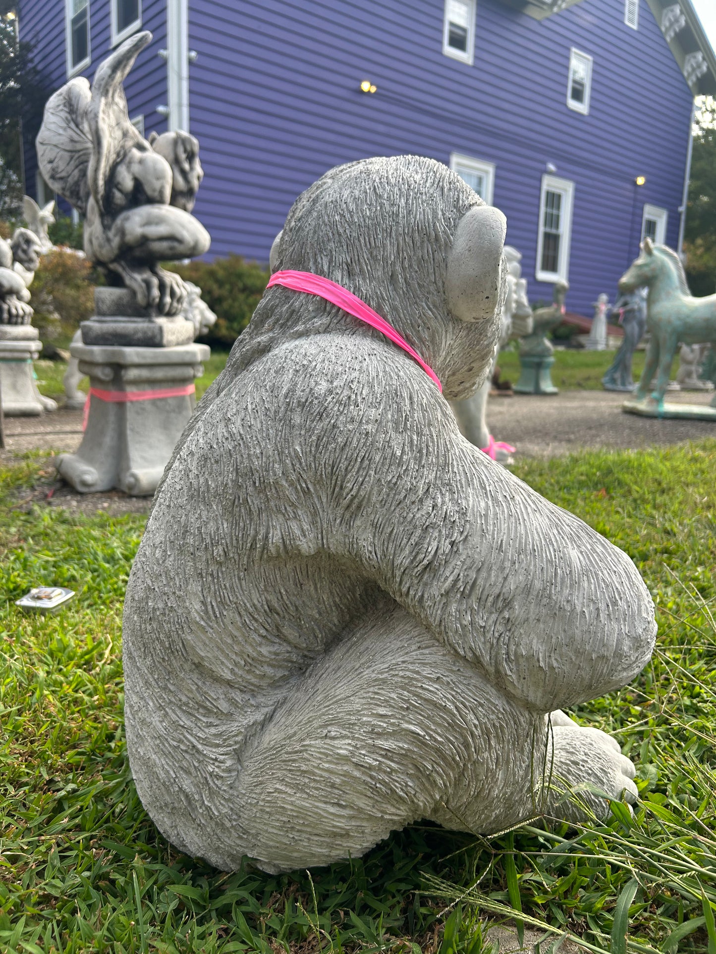 Lucho- the Sitting Chimpanzee