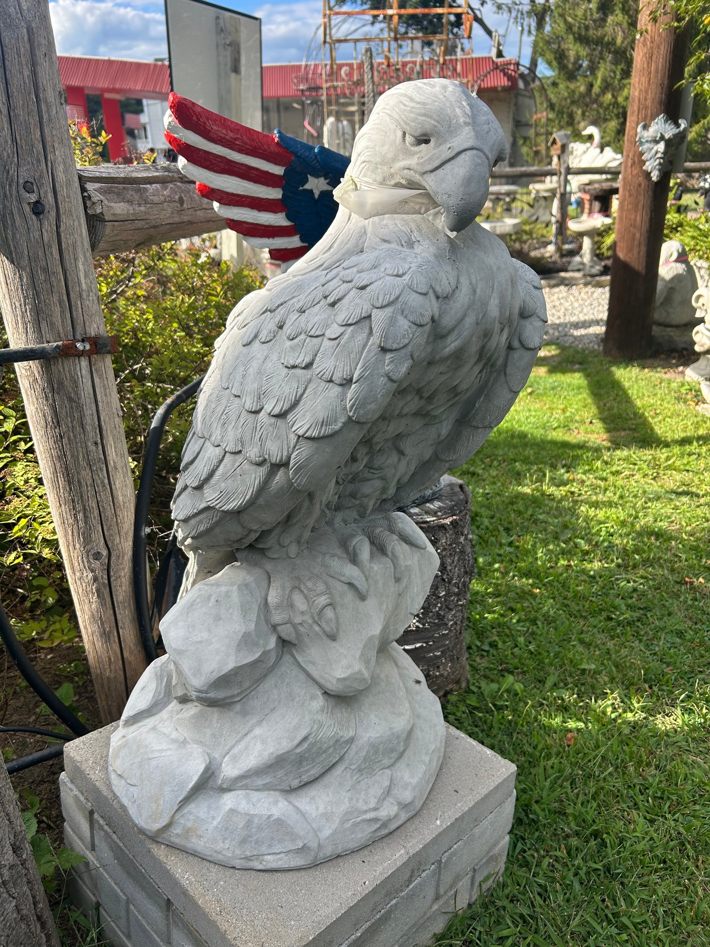 Large Eagle Wings Down on Rock