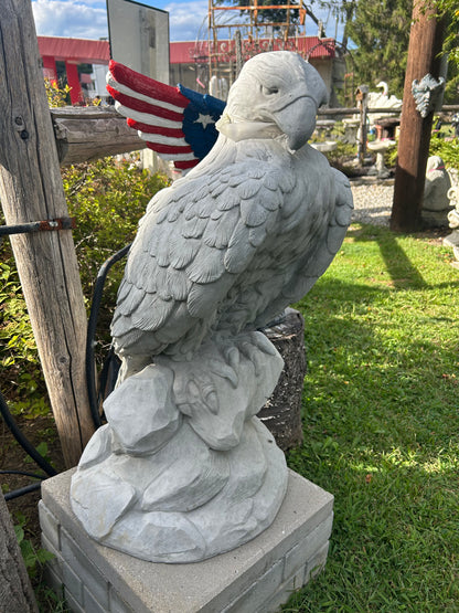 Large Eagle Wings Down on Rock