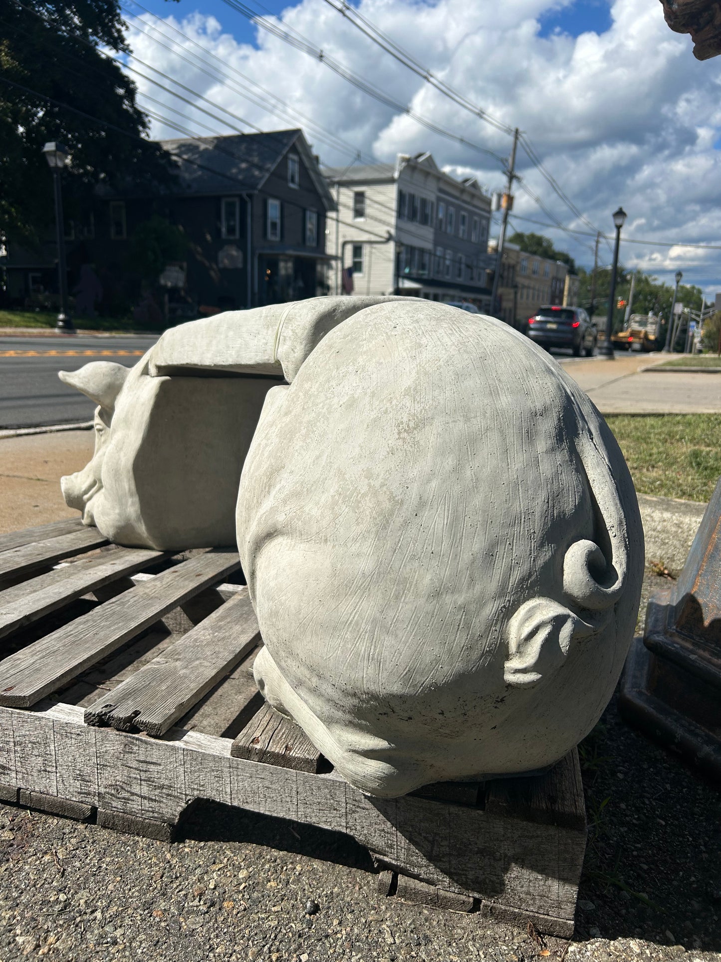 Pig Bench
