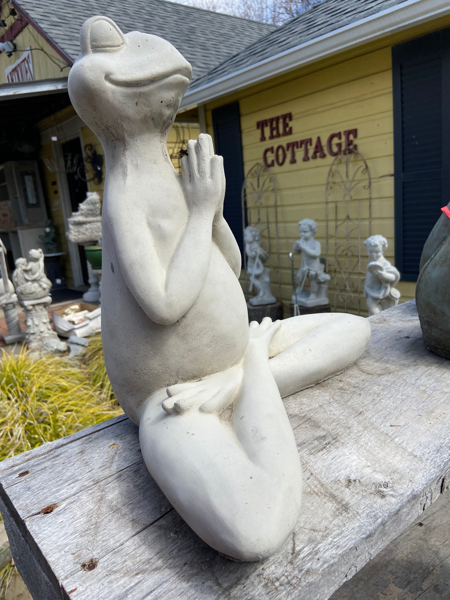 Large Zen Frog