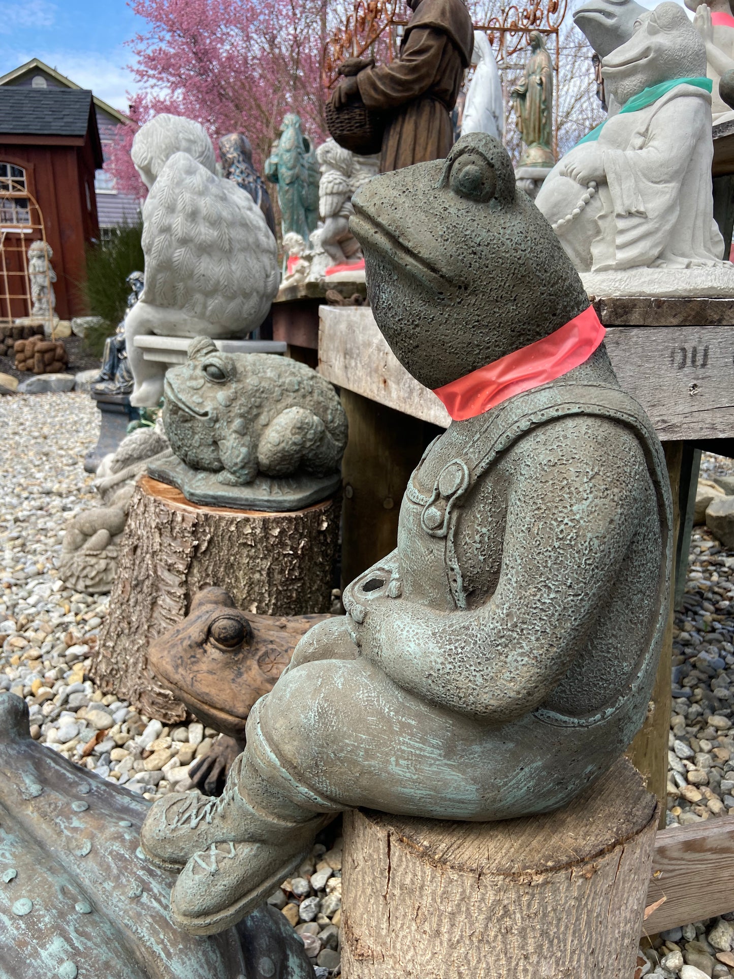 Fishing Frog