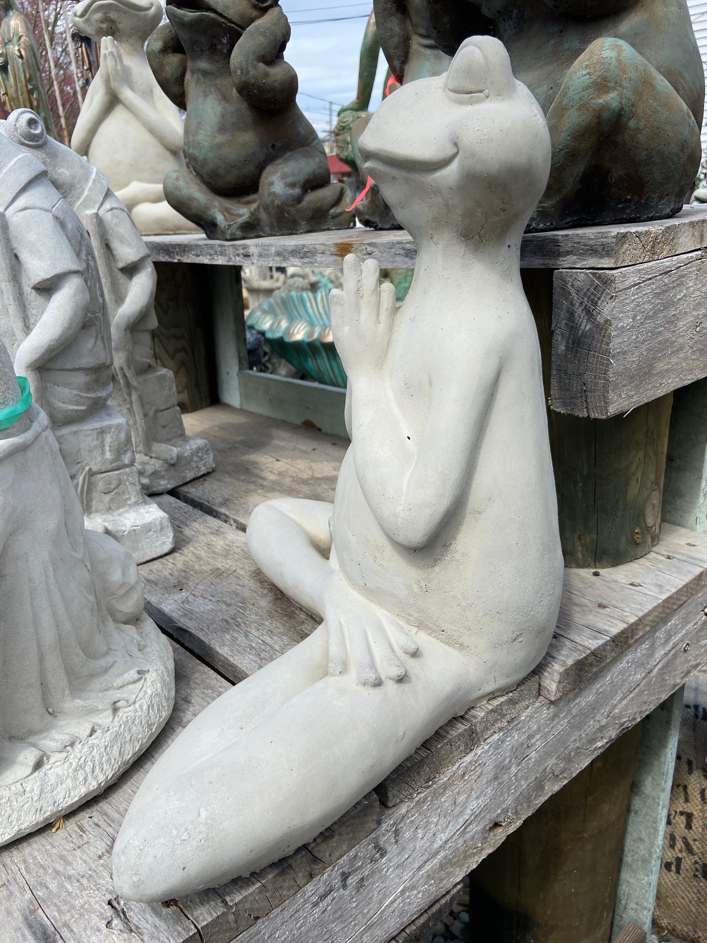 Large Zen Frog