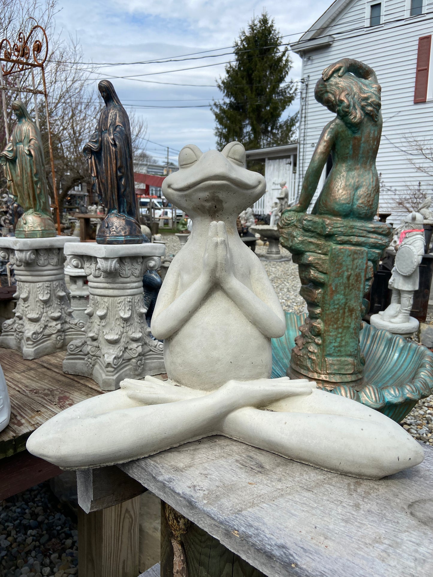 Large Zen Frog