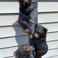 "Bearly" Climbing Statue