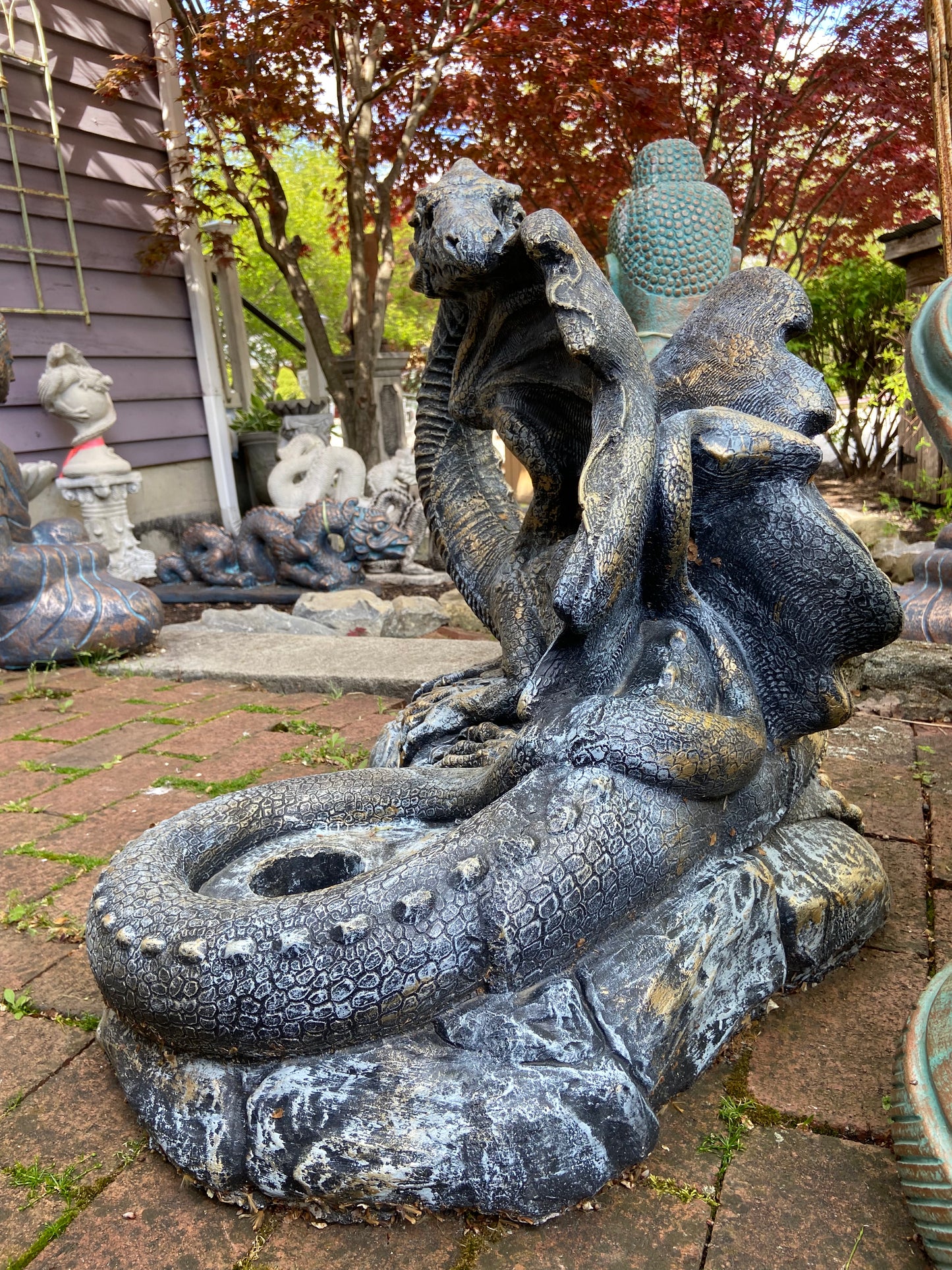 Hidden Treasure Dragon