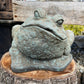 Large Spotted Frog
