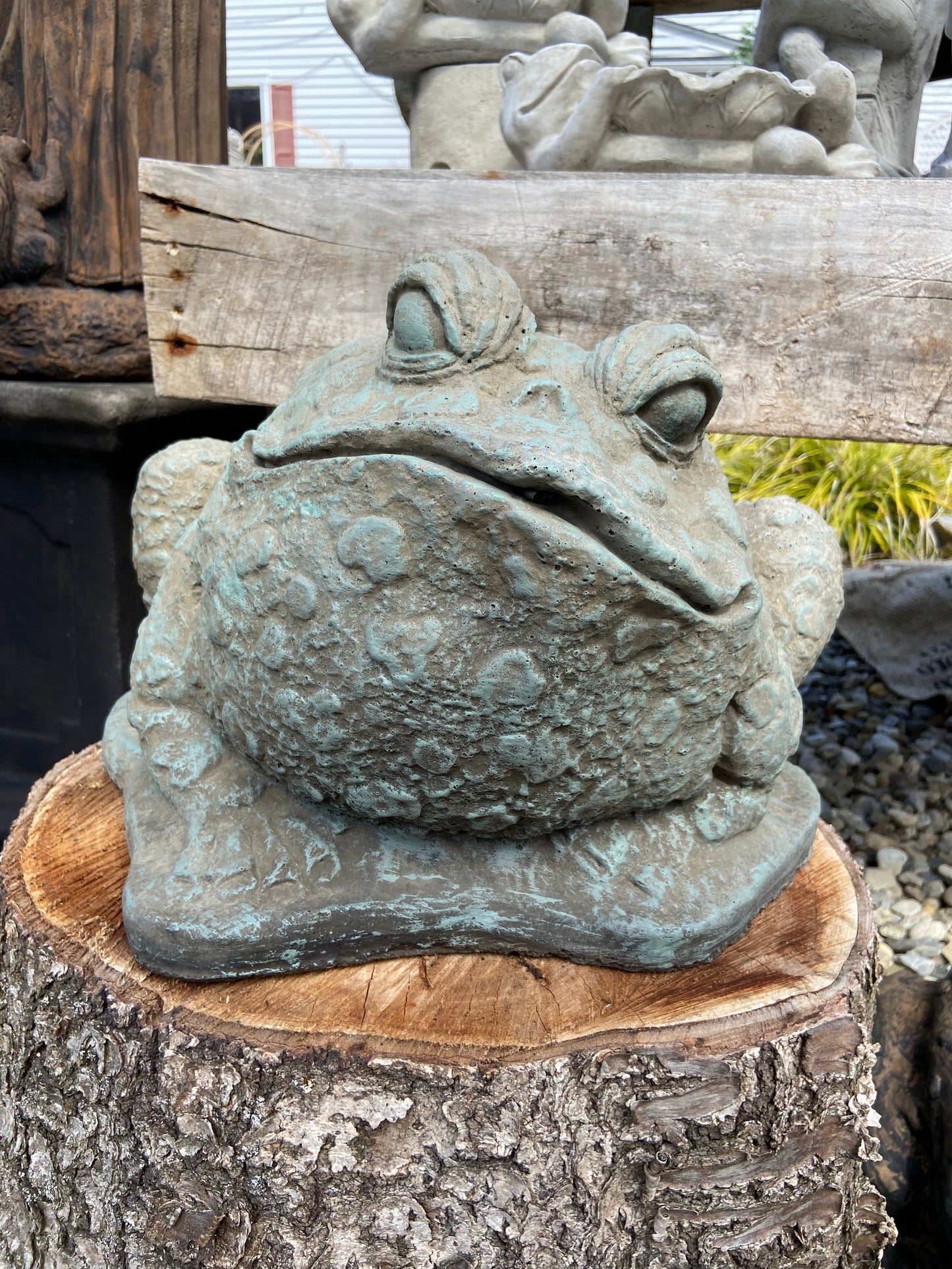 Large Spotted Frog