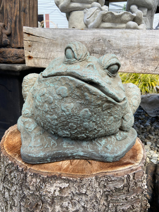 Large Spotted Frog