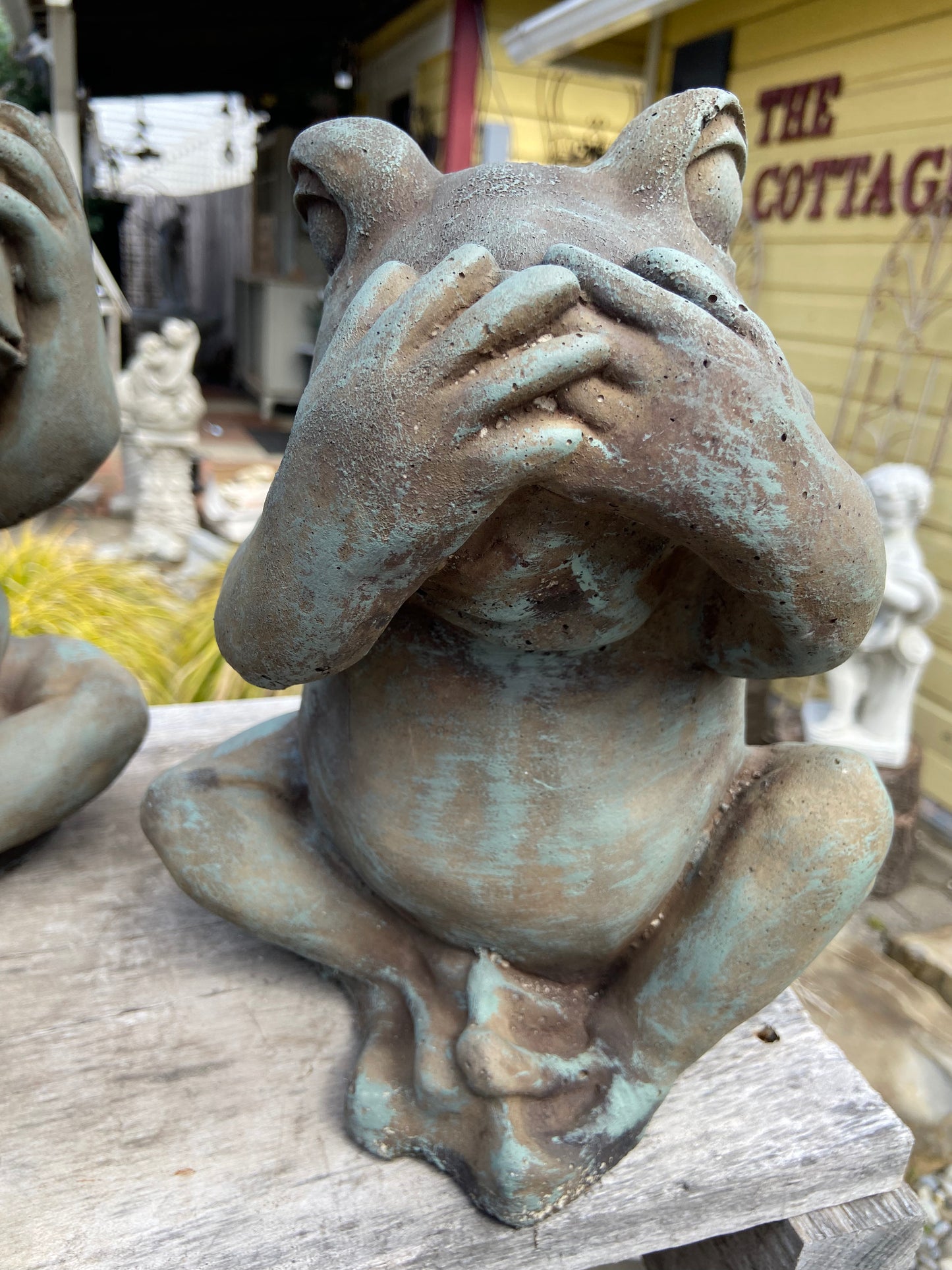 Frog: Speak No Evil
