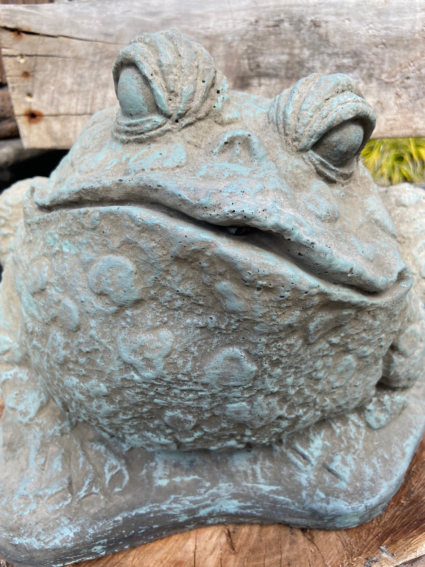 Large Spotted Frog
