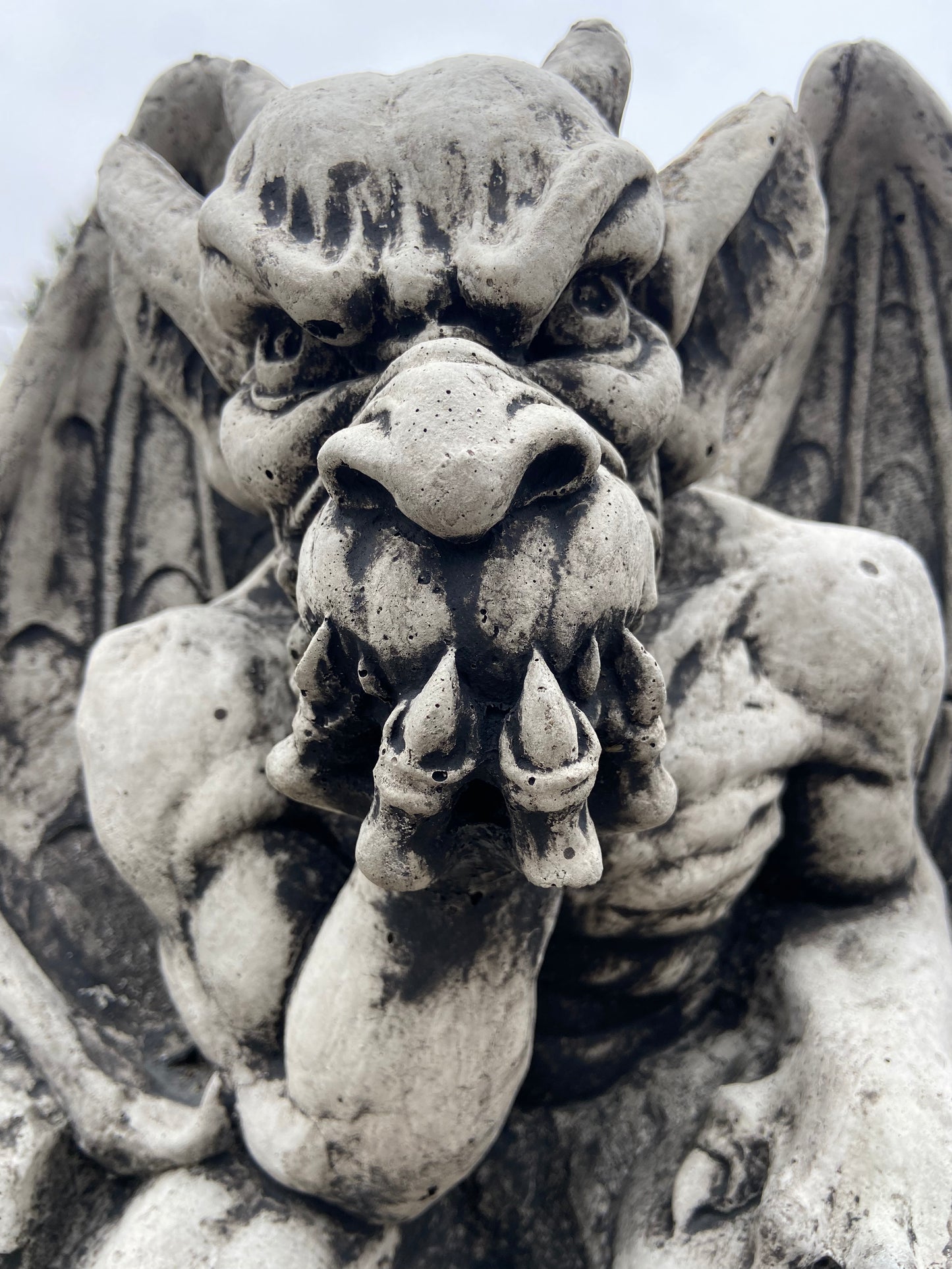 Imperial Gargoyle