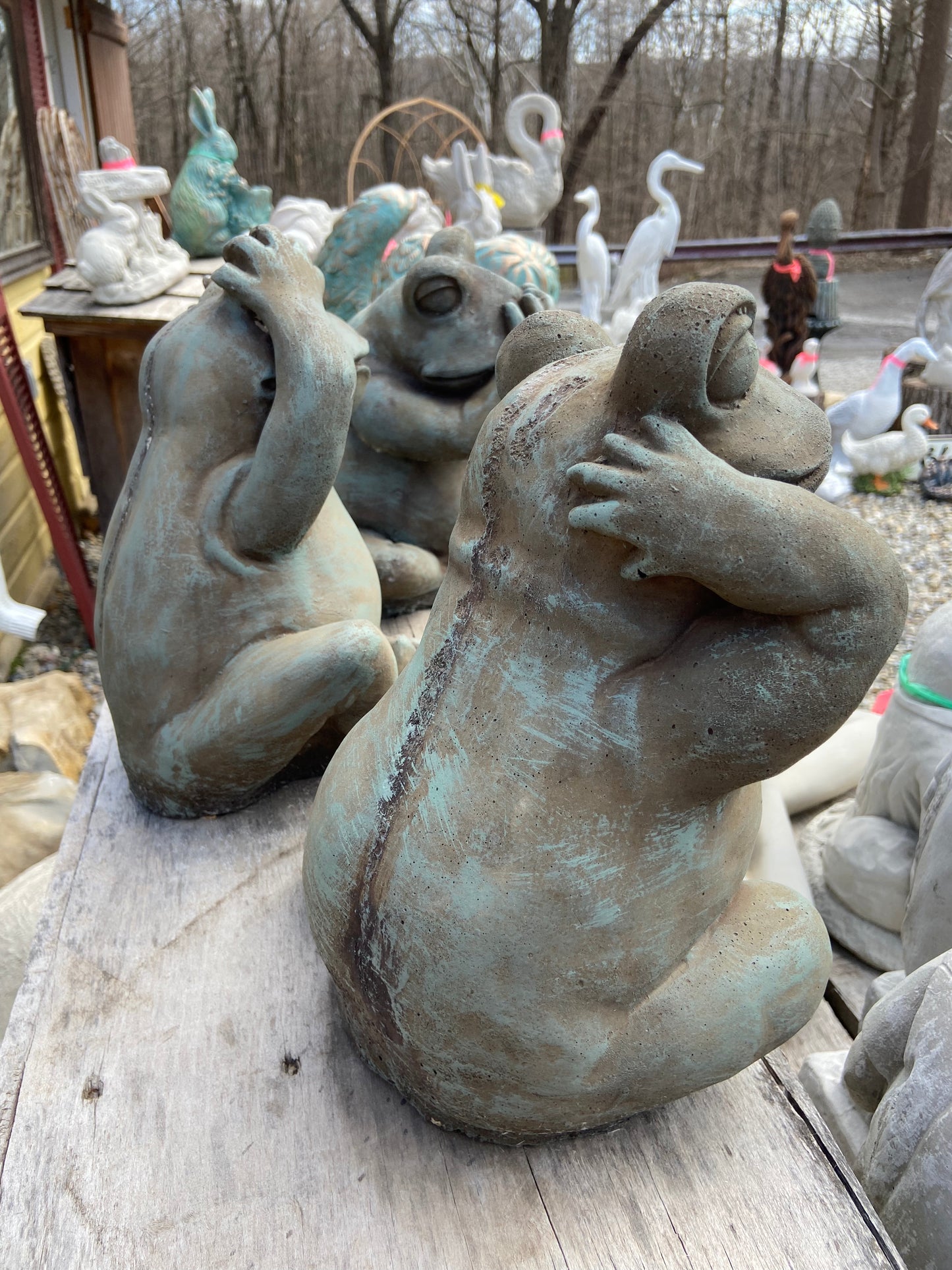 Frog: Hear No Evil