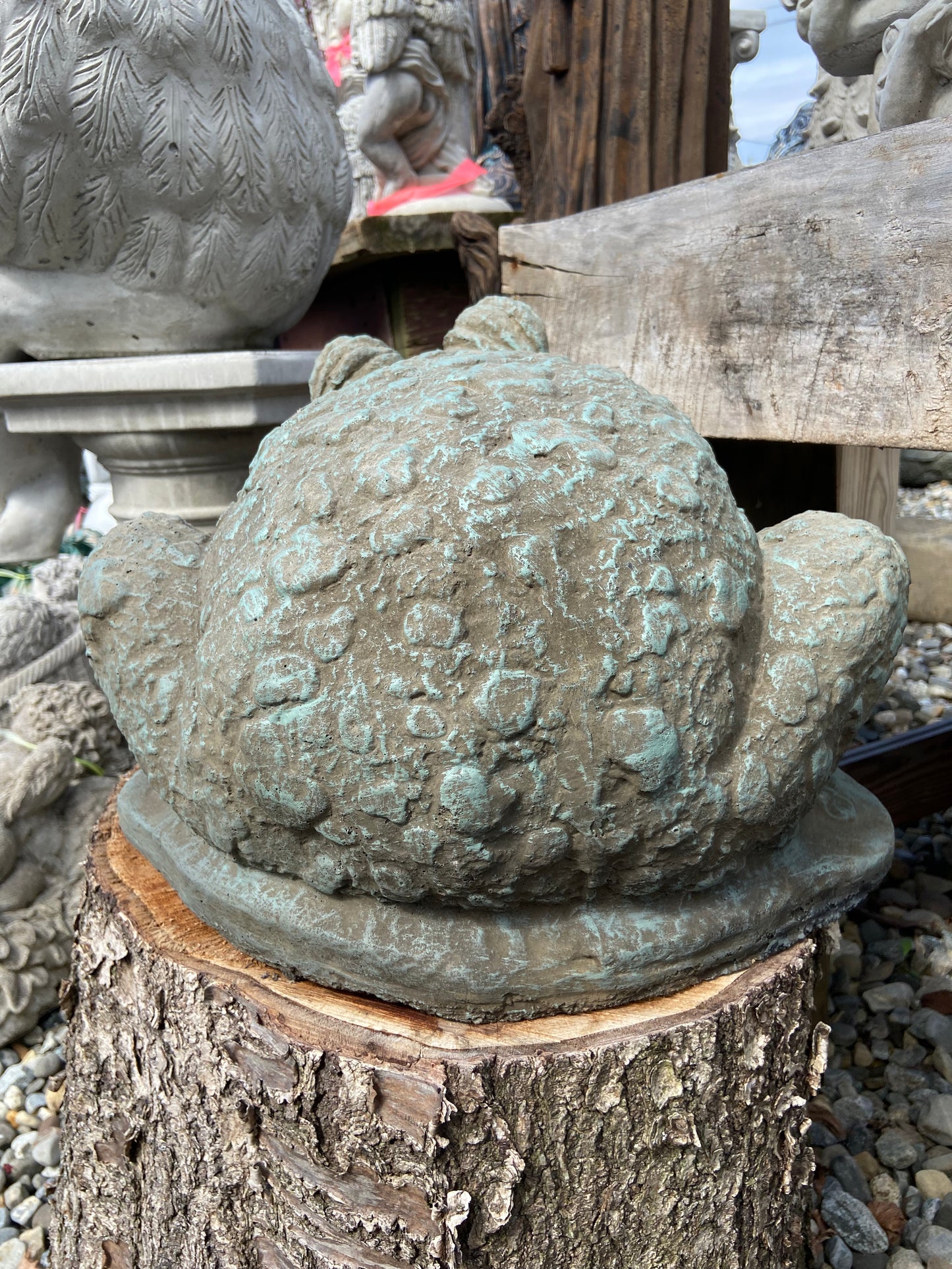 Large Spotted Frog