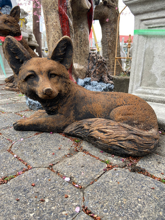 Lying Fox